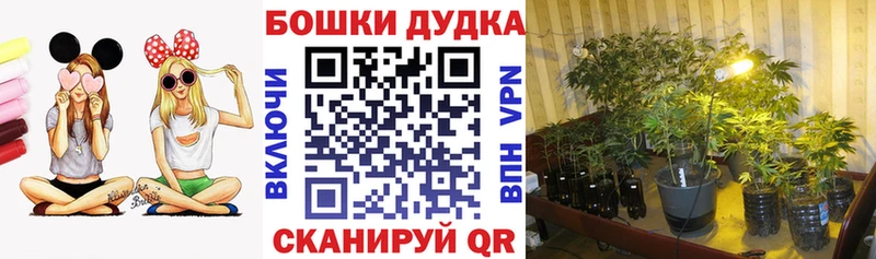 Продажа наркотиков Невель Кокаин  Меф мяу мяу  mega сайт  Бошки Шишки  ГАШИШ  АМФЕТАМИН 