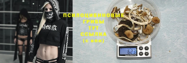 гидра Дмитров