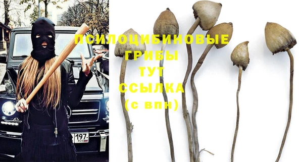 гидра Дмитров